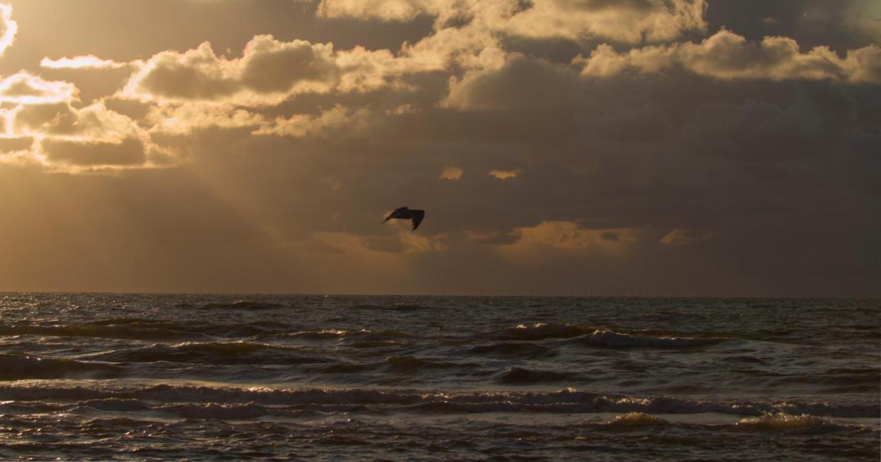 Perfect Stay Holiday, Moment At Sea Egmond aan Zee Zewnętrze zdjęcie